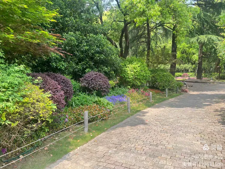 4月走园上海华山绿地